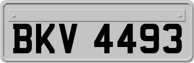 BKV4493
