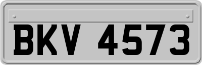 BKV4573
