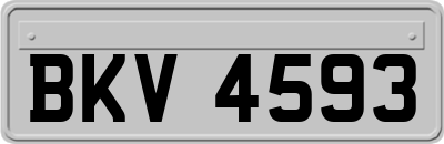 BKV4593