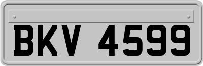 BKV4599