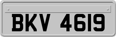 BKV4619