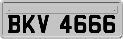 BKV4666