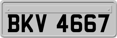 BKV4667
