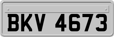 BKV4673