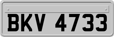 BKV4733