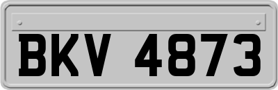 BKV4873