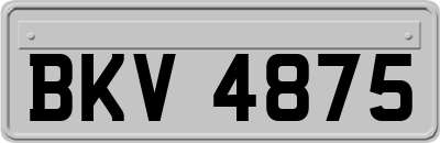 BKV4875