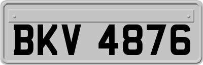 BKV4876
