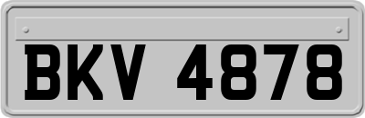 BKV4878