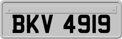 BKV4919