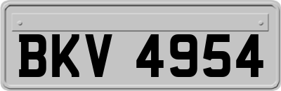 BKV4954