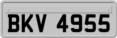 BKV4955