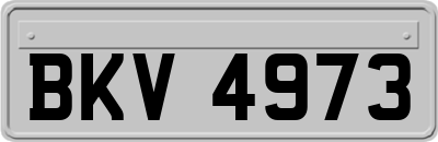 BKV4973