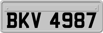 BKV4987
