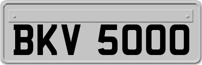 BKV5000
