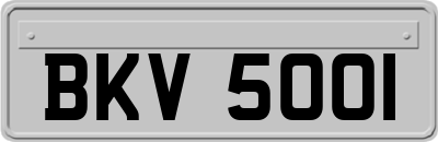BKV5001