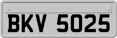 BKV5025