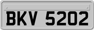 BKV5202