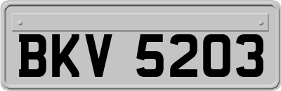 BKV5203