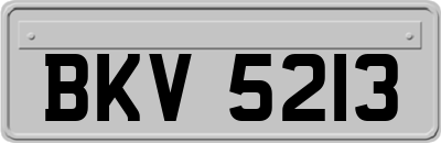 BKV5213