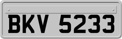 BKV5233
