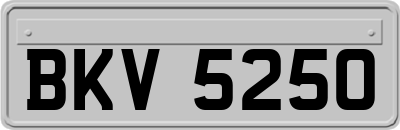 BKV5250
