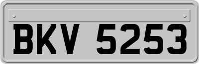 BKV5253