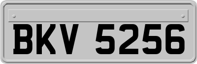 BKV5256
