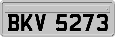 BKV5273