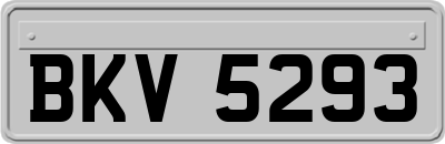 BKV5293