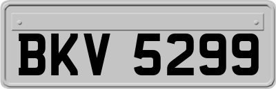 BKV5299
