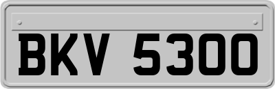 BKV5300