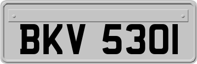 BKV5301