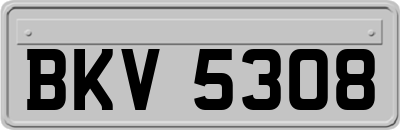 BKV5308
