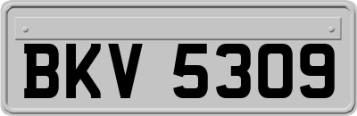 BKV5309