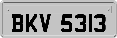 BKV5313
