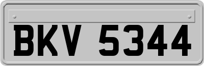 BKV5344