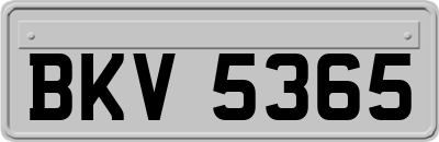 BKV5365