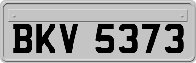BKV5373