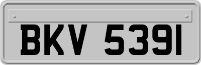 BKV5391