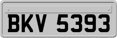 BKV5393