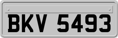 BKV5493
