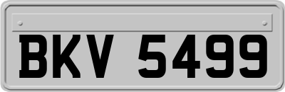 BKV5499