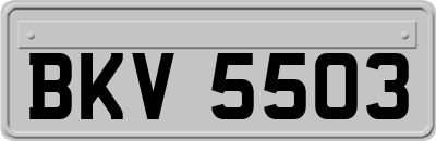 BKV5503