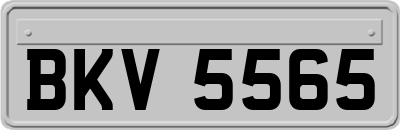 BKV5565
