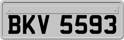BKV5593