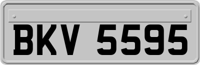 BKV5595