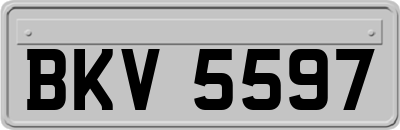 BKV5597