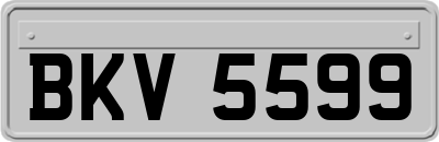 BKV5599