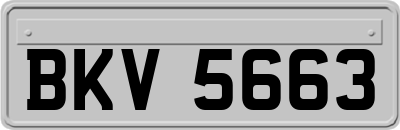 BKV5663